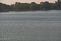 Palić - jezero