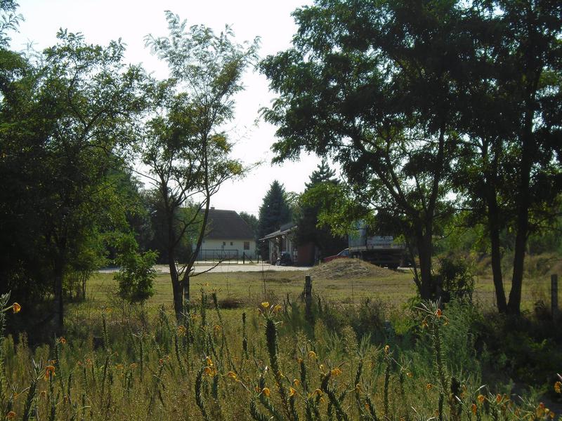 O cemu pricati sa simpatijom ? O cemu pricati sa simpatijom ?