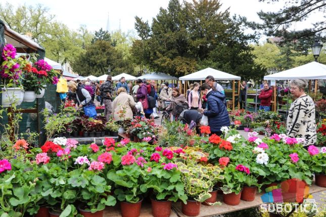 "Procvetao" mali trg