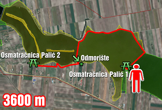 Promo tura za posmatranje ptica na Paliću