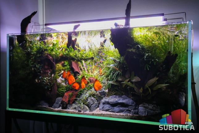 "Aquascape" donosi prirodu u vaš prostor