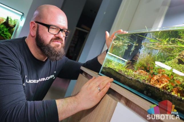 "Aquascape" donosi prirodu u vaš prostor