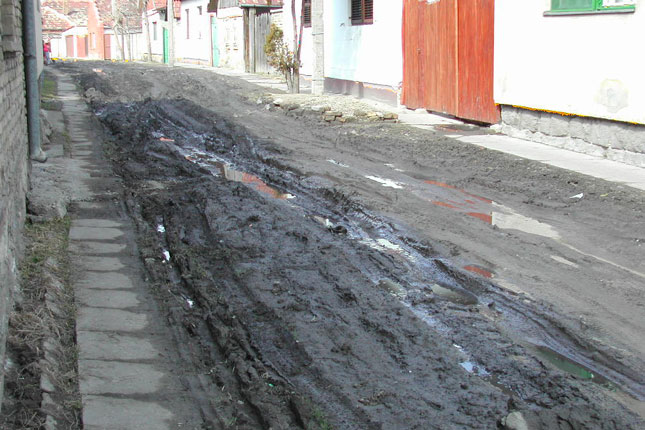 Požarevačka ulica - dve decenije borbe za kanalizaciju i asfalt
