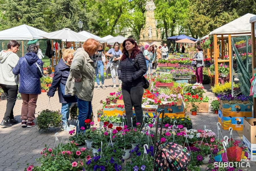 Od muškatli do petunija: Otvoren sajam cveća "Garden flora"