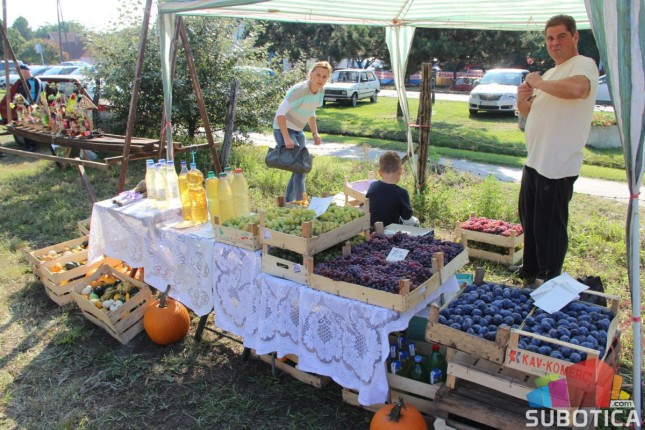 Za vikend 51. "Berbanski dani" u Hajdukovu