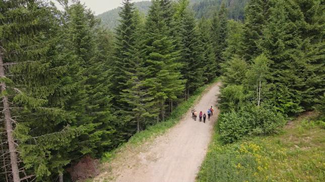 U dve selekcije na Palićkom filmskom festivalu biće predstavljeno 14 dokumentaraca