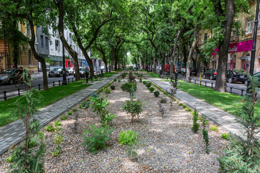 Otvoren "Park mladih" kod Gimnazije