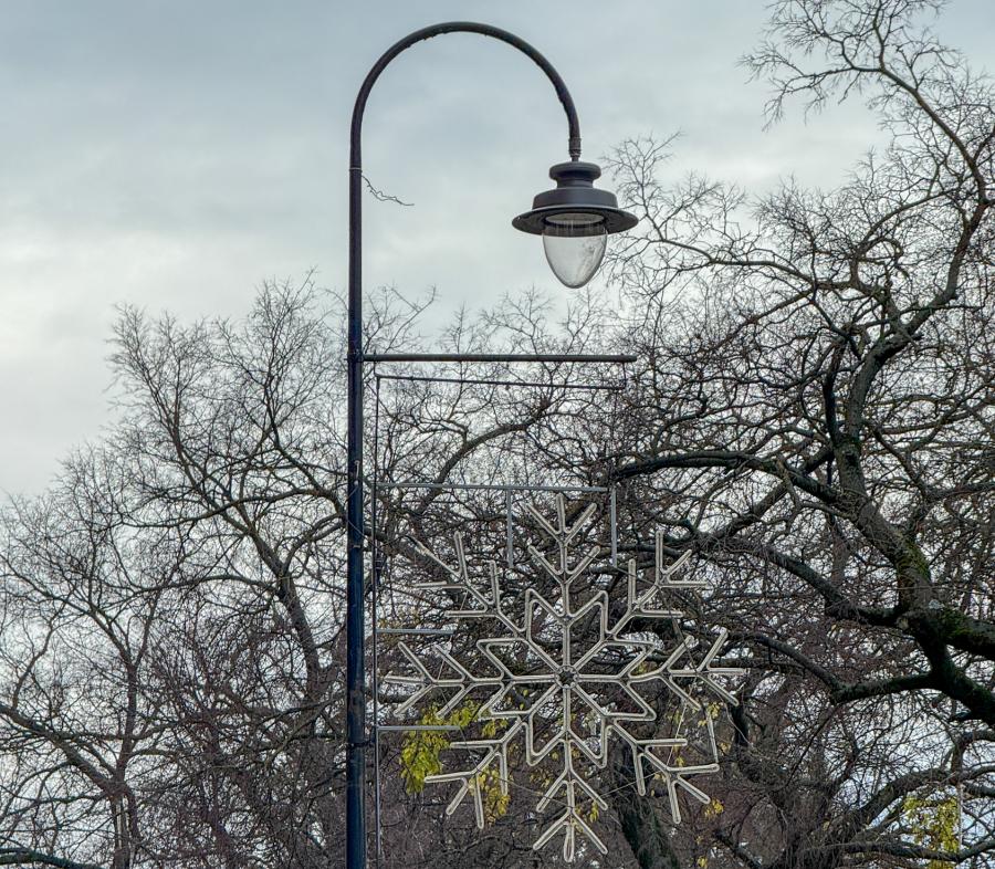 Novogodišnja dekoracija od 1. decembra: atraktivni detalji u centru i prigradskim naseljima