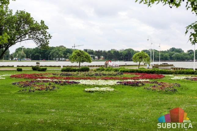 Za pomor ribe na Paliću kriv je herpes