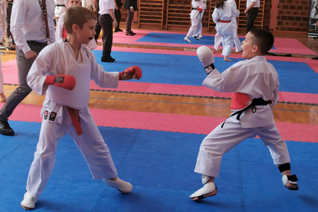 Karate: Najmlađi takmičari "Spartak-Enpija" osvojili 19 medalja na "Šabačkom pobedniku"