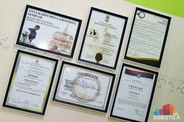 Otvoren salon za negu i šišanje pasa "Pet Spa"