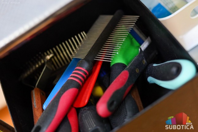 Otvoren salon za negu i šišanje pasa "Pet Spa"