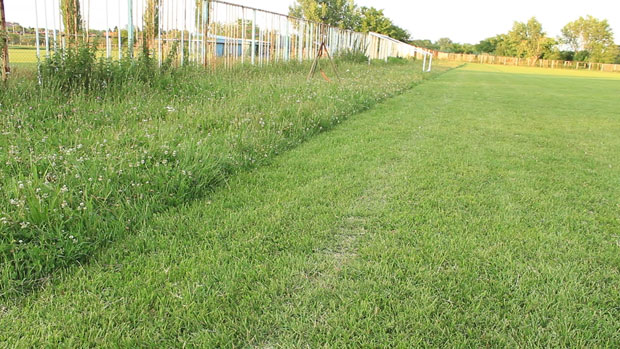 ŽFK "Spartak" očajan: Omogućite nam minimalne uslove za trening!