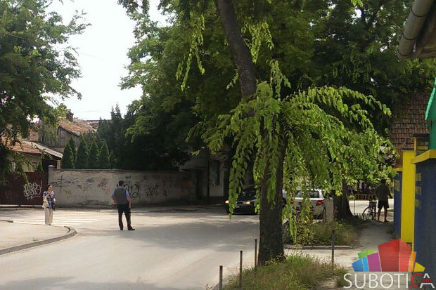 Dramatična akcija hapšenja u ulici Arsenija Čarnojevića