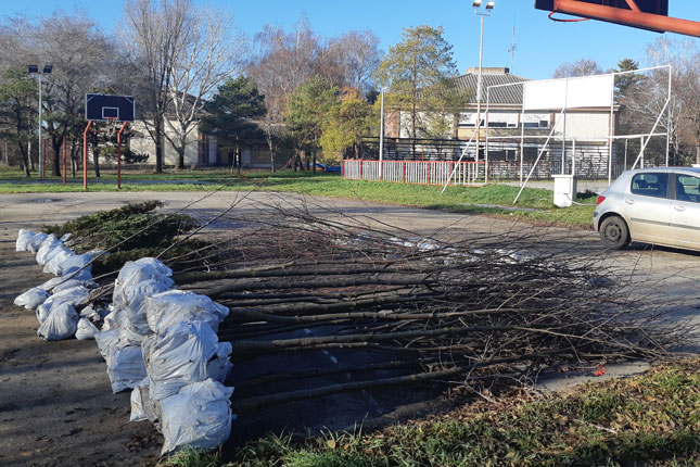 Udruženje "Zelena oaza" ozelenilo školska dvorišta