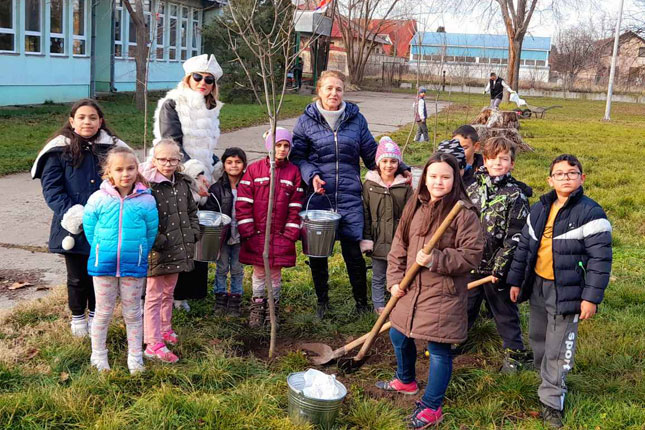Udruženje "Zelena oaza" ozelenilo školska dvorišta