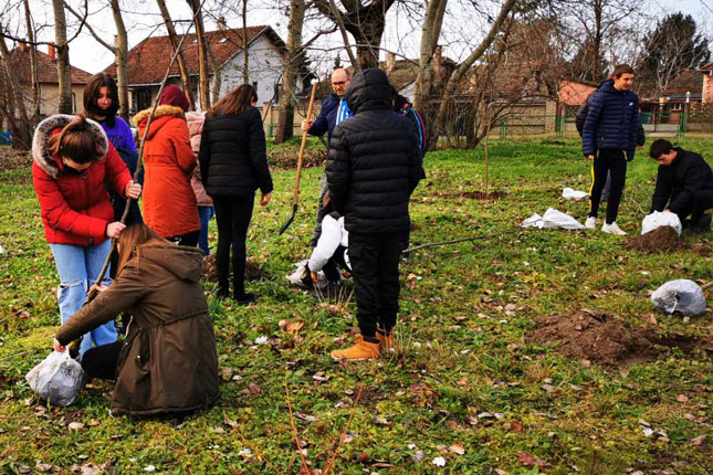 Udruženje "Zelena oaza" ozelenilo školska dvorišta