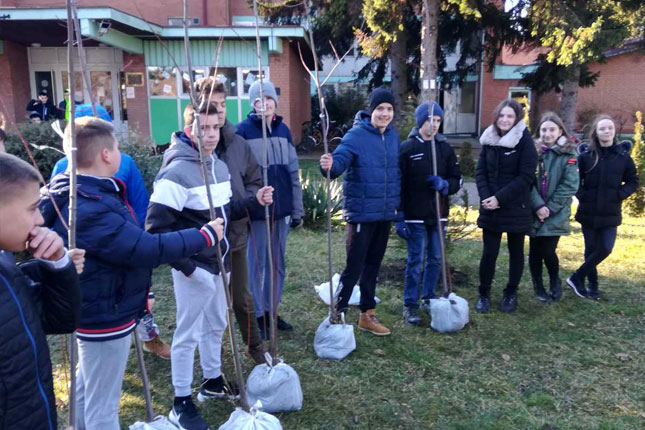 Udruženje "Zelena oaza" ozelenilo školska dvorišta