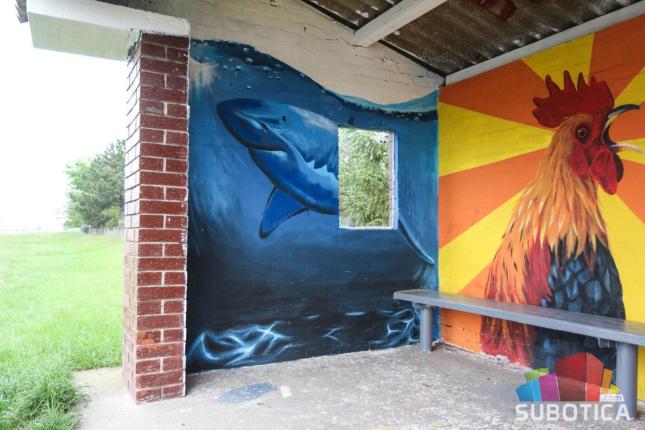 Mlade meštanke Verušića od autobuskog stajališta napravile umetničko delo