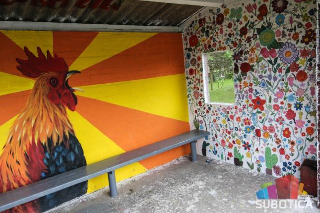 Mlade meštanke Verušića od autobuskog stajališta napravile umetničko delo