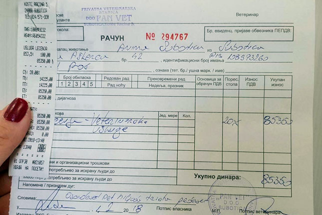 Održan humanitarni koncert za „Animu“, odličan odziv sugrađana, prikupljeno oko 85 hiljada dinara