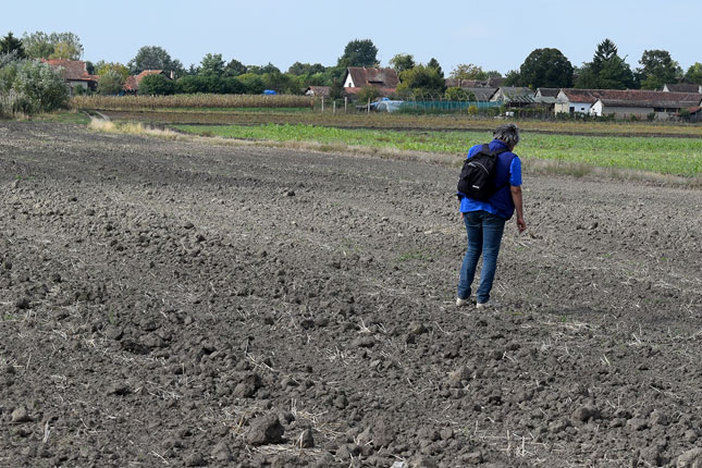 Otpočela realizacija projekta arheološka mapa severne Bačke