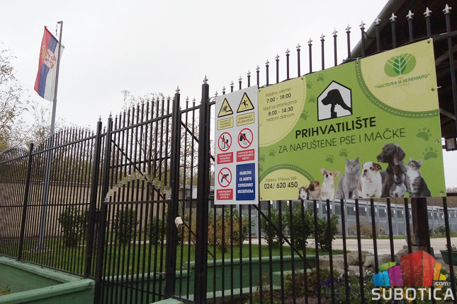 Stanovnike Teslinog naselja muče psi lutalice, "Zoohigijena" intervenisala 77 puta