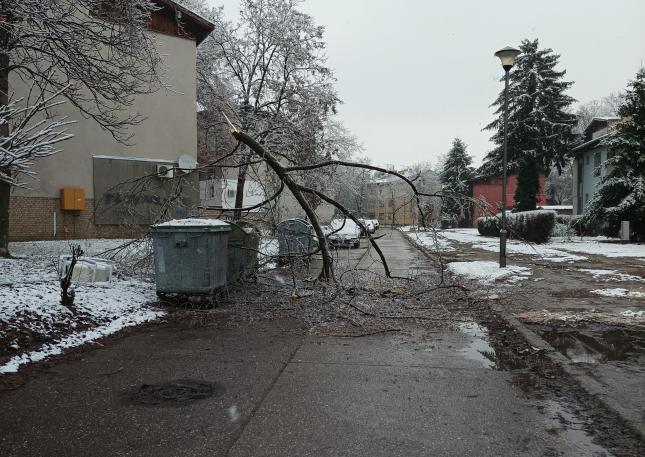Slomljene grane, izvaljeno drvećе, isčupani stubovi, oštećeni automobili...