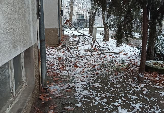 Slomljene grane, izvaljeno drvećе, isčupani stubovi, oštećeni automobili...