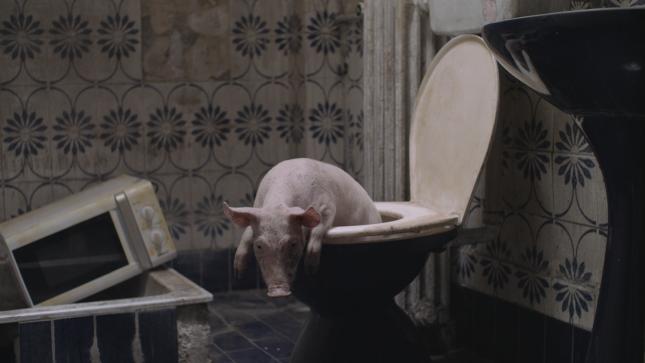 Selekcije "Novi mađarski film" i "Severna Makedonija u fokusu" na Festivalu evropskog filma Palić