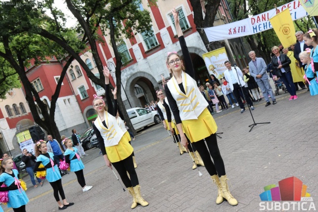 Otvoreni XXIII Dani pčelarstva