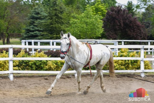 Prvomajska bajka na "Ergeli Kelebija"