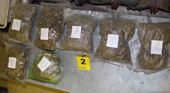 Zaplenjeno više od pet kilograma marihuane