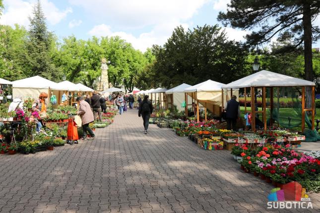 Subotica procvetala - počeo prolećni vašar cveća