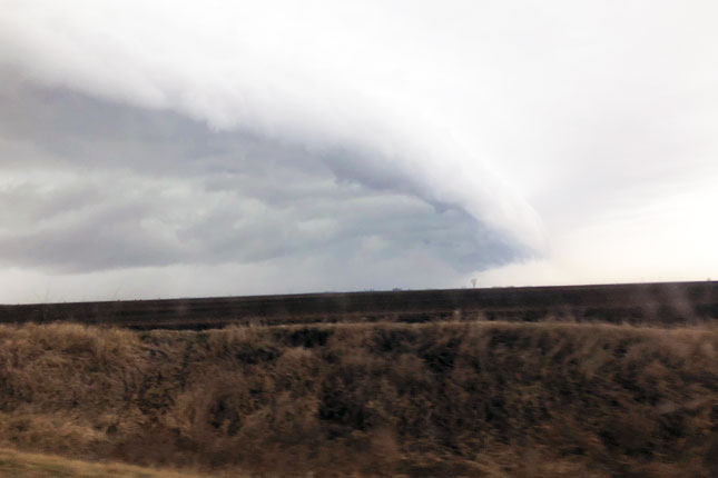 Nagla promena vremena i zahlađenje zahvatili i Suboticu