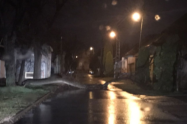 Obrušio se zid na Radijalcu, oštetio automobil, stradao i novootvoreni park za pse u Dudovoj šumi