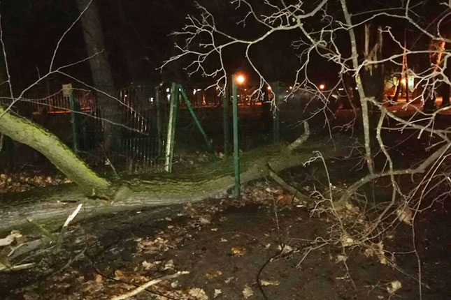 Obrušio se zid na Radijalcu, oštetio automobil, stradao i novootvoreni park za pse u Dudovoj šumi