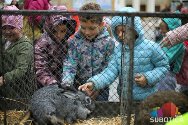 Održana mini izložba životinja - najmlađi oduševljeni zekama i pernatim životinjama