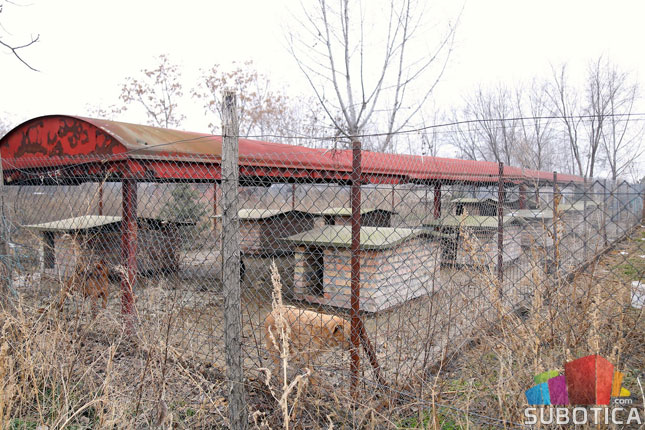 Optužbe na račun azila "Aleks" (ne)osnovane