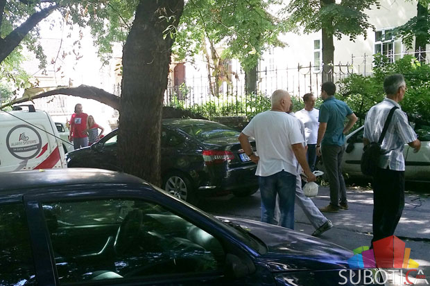 Dva automobila oštećena kada je na njih pala odlomljena grana
