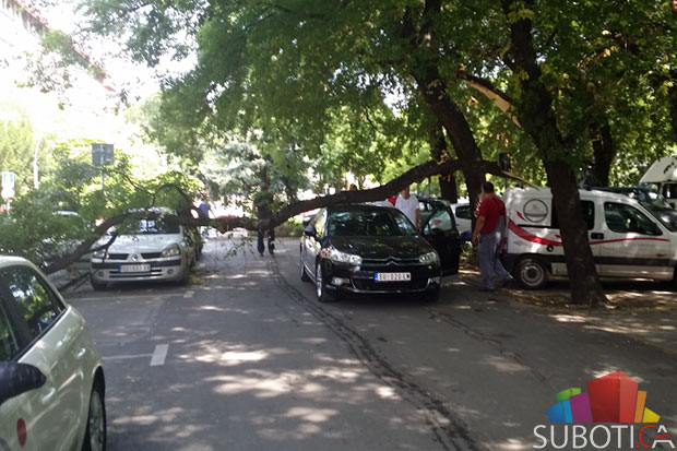 Dva automobila oštećena kada je na njih pala odlomljena grana