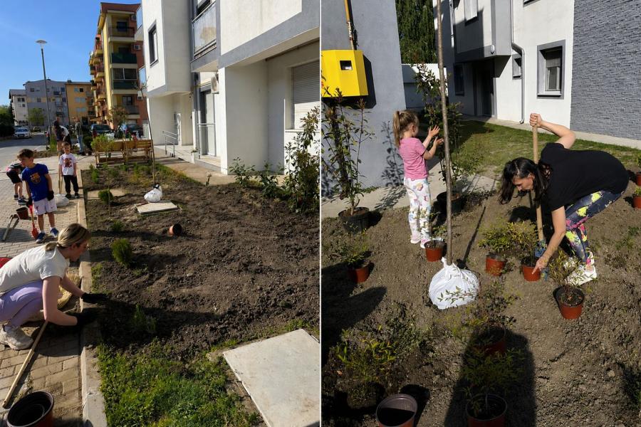 Građanske ideje menjaju Suboticu: uređeni parkovi, murali i rekreativne zone