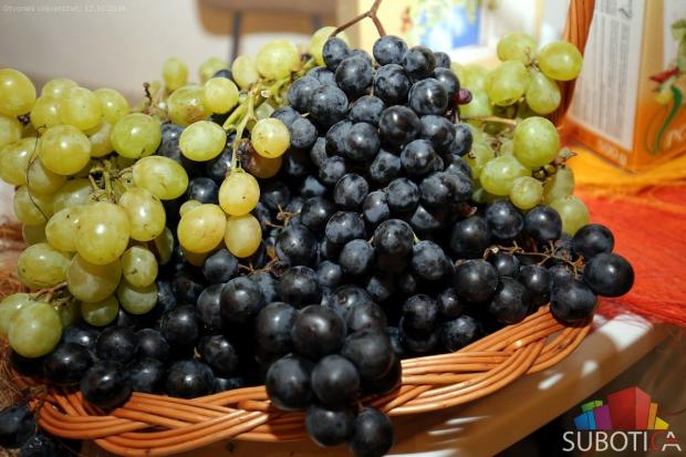 Otvoren 12. Međunarodni festival organskih proizvoda "Biofest"