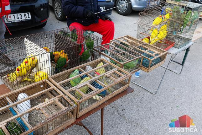 Međunarodna izložba sitnih životinja održana po 38. put
