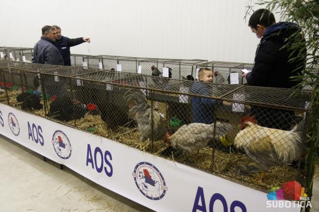 Međunarodna izložba sitnih životinja održana po 38. put