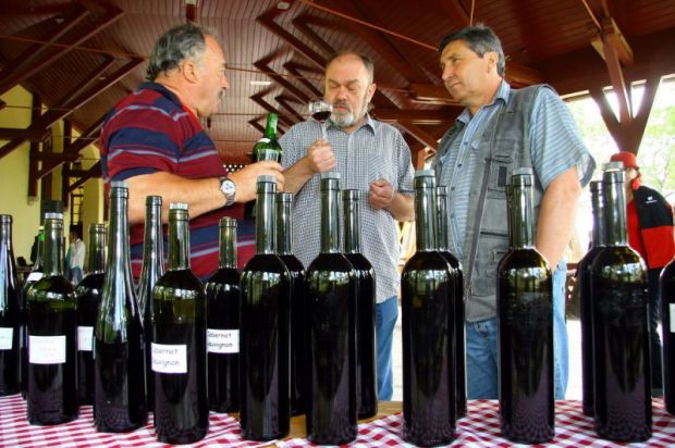 Palićke vinske svečanosti