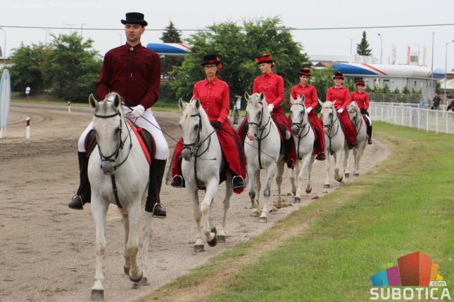 Konjičke trke: Bogat kasački program i trka "Dužijanca" za vikend na Gradskom hipodromu