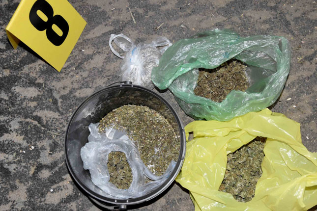 Otkrivena improvizovana laboratorija za uzgoj marihuane