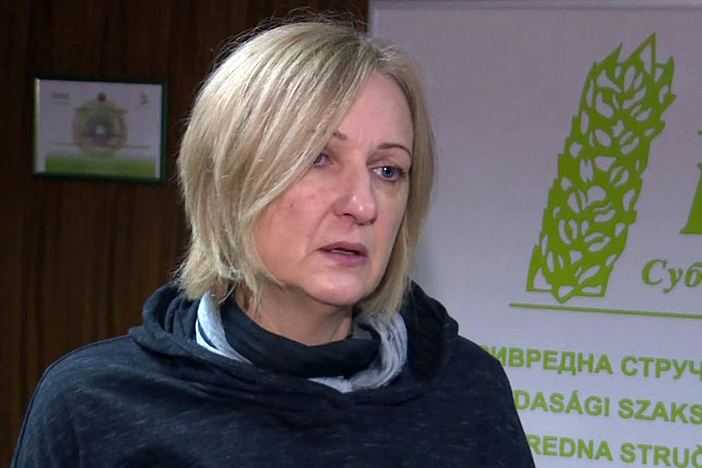 Hajnalka Bognar Pastor novi član Gradskog veća zadužen za poljoprivredu, Ostrogonac pod istragom