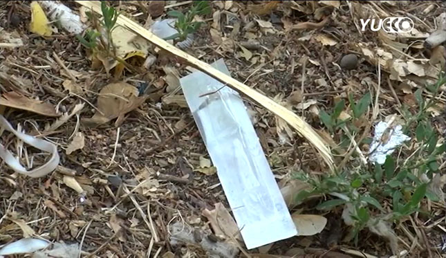 Dečje igralište na Radijalcu - stecište narkomana?!